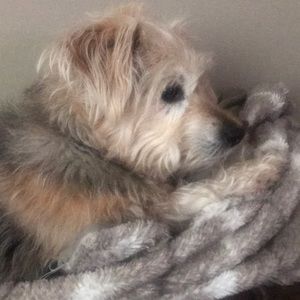 Meet your Posher, Kristin